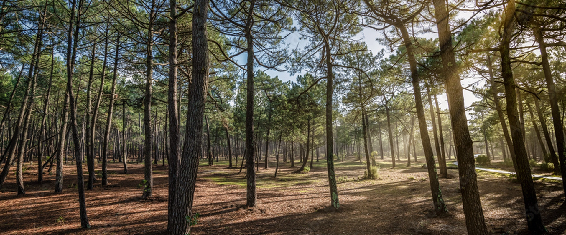 les alentours de dax